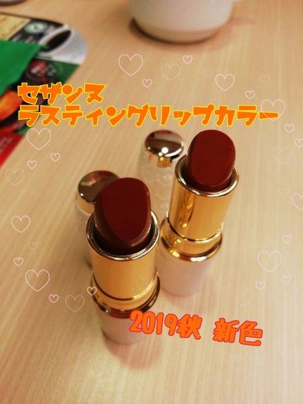 ラスティング リップカラーN/CEZANNE/口紅を使ったクチコミ(1枚目)