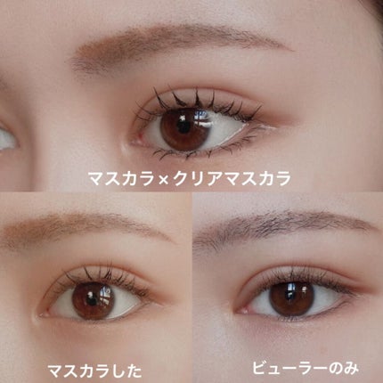 ラッシュフレームマスカラ/キャンメイク/マスカラを使ったクチコミ(1枚目)