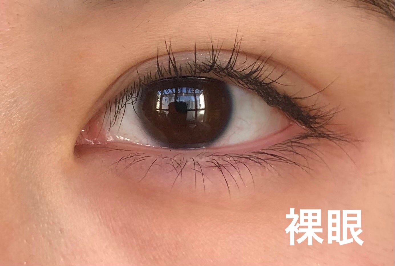 エバーカラーワンデー ナチュラル/エバーカラー/ワンデー(1DAY)カラコンを使ったクチコミ(2枚目)