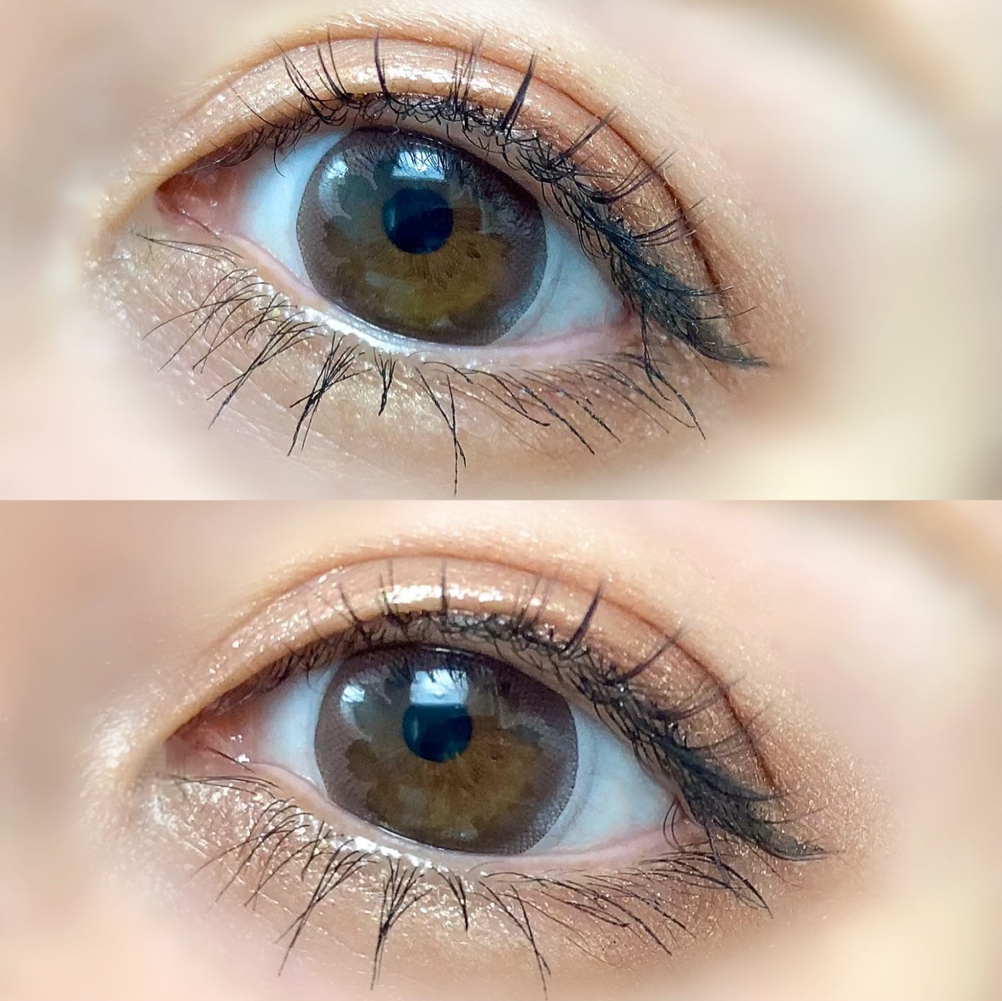 アイラッシュフィクサーEX 552/D-UP/つけまつげを使ったクチコミ(4枚目)