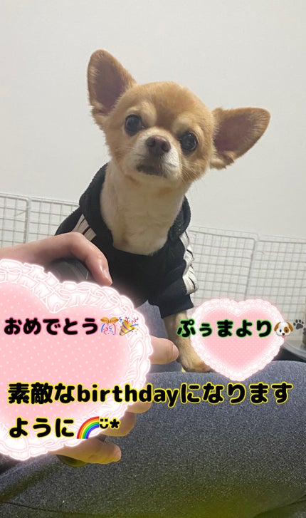 カラフルネイルズ/キャンメイク/マニキュアを使ったクチコミ(6枚目)