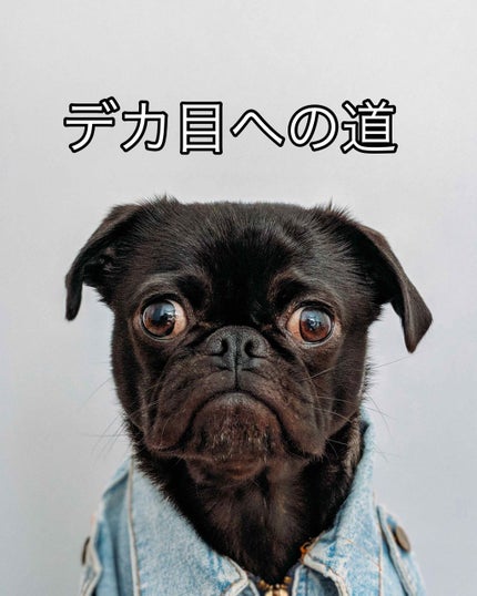 マスカラフィクサー パーフェクトラッシュ/ETUDE/マスカラ下地を使ったクチコミ(1枚目)