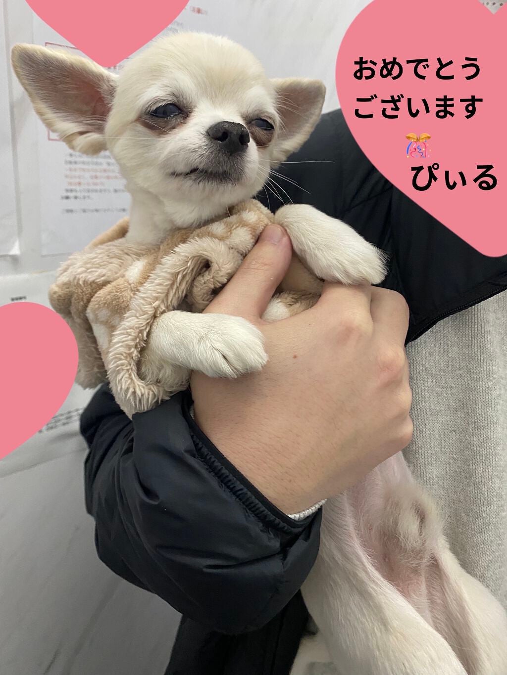 ミニネイル/パラドゥ/マニキュアを使ったクチコミ(7枚目)