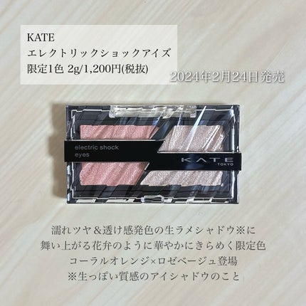 エレクトリックショックアイズ /KATE/アイシャドウパレットを使ったクチコミ(2枚目)