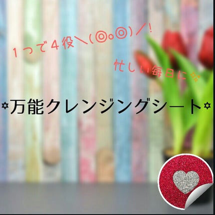 シートクレンジング/クレンジングリサーチ/クレンジングシートを使ったクチコミ(1枚目)