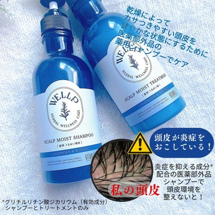 薬用スカルプケアシャンプー/トリートメント モイスト/WELLP/市販シャンプーを使ったクチコミ(2枚目)