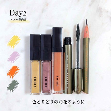 カレンデュラアイシャドウリキッド/SHIRO/リキッドアイシャドウを使ったクチコミ(7枚目)