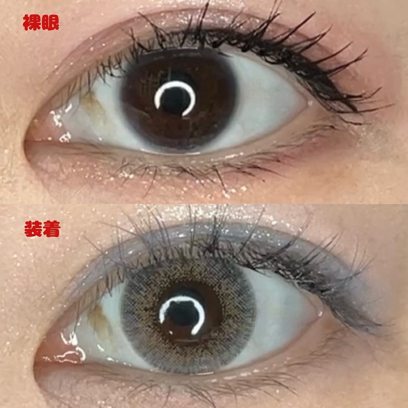 ã®ã©ãð on LIPS ãANN365LENSRichAnnShineã·ã£ã€ã³ã°ã¬ãŒBC..ãïŒ4æç®ïŒ