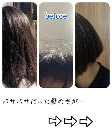 オイルトリートメント #EXヘアオイル リッチモイスチャー/ルシードエル/ヘアオイルを使ったクチコミ（1枚目）