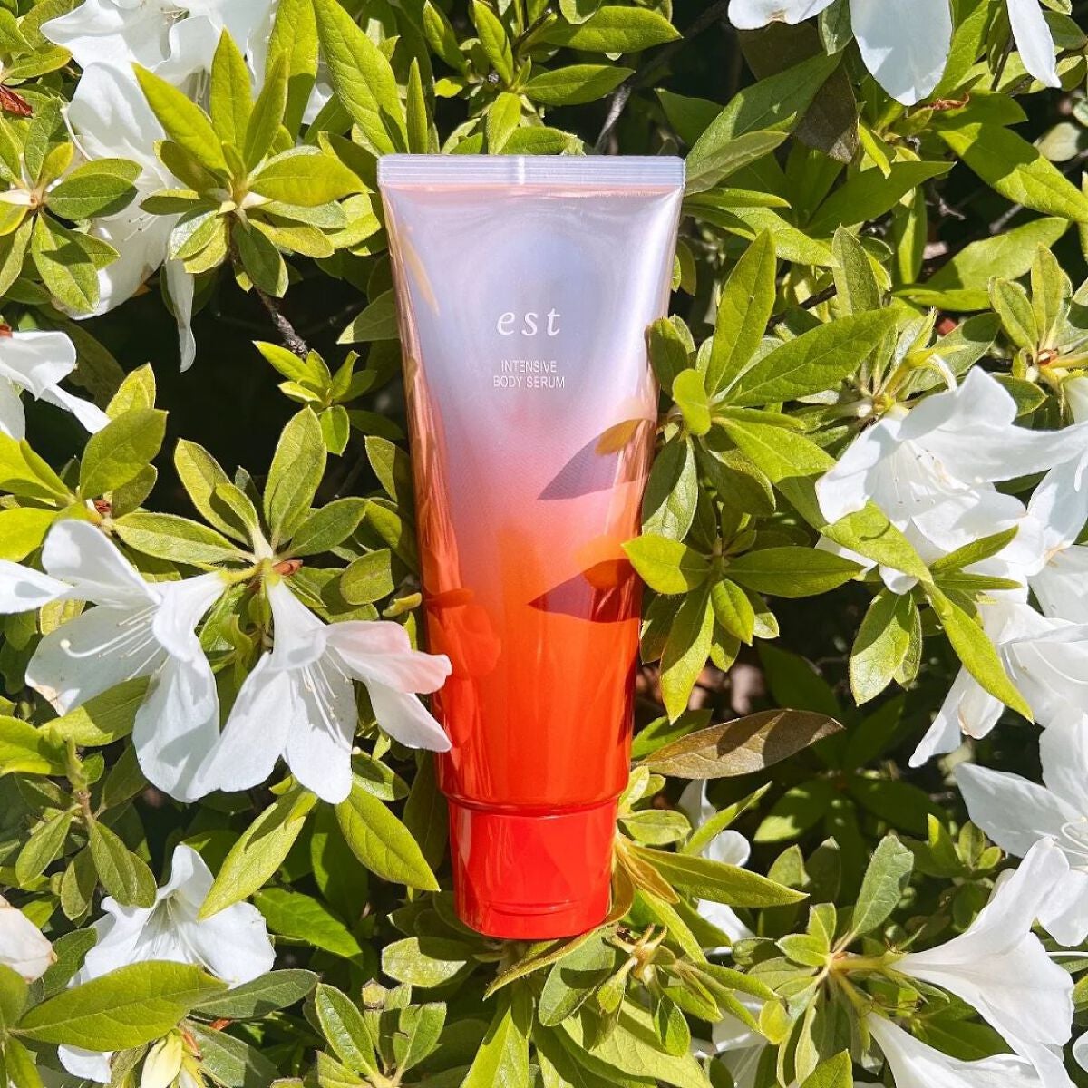 エスト インテンシブ ボディセラム/est/ボディクリームを使ったクチコミ(4枚目)