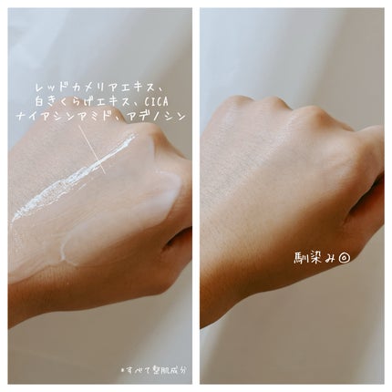 ヴィーガンアクアゼロフィットクッション/HAMEL/クッションファンデーションを使ったクチコミ(4枚目)