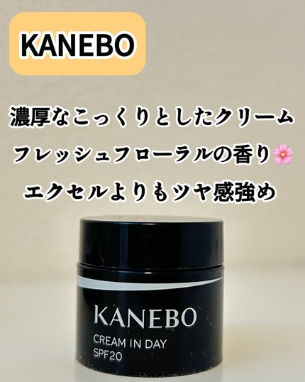 クリーム イン デイ/KANEBO/フェイスクリームを使ったクチコミ(4枚目)