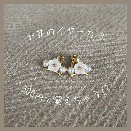 Canonð» on LIPS ãããããã€ã€ãŒã«ãã®ã玹ä»â¡ãã®ã€ã€ãŒã«ã3coinsã§è²·ããŸ..ãïŒ1æç®ïŒ