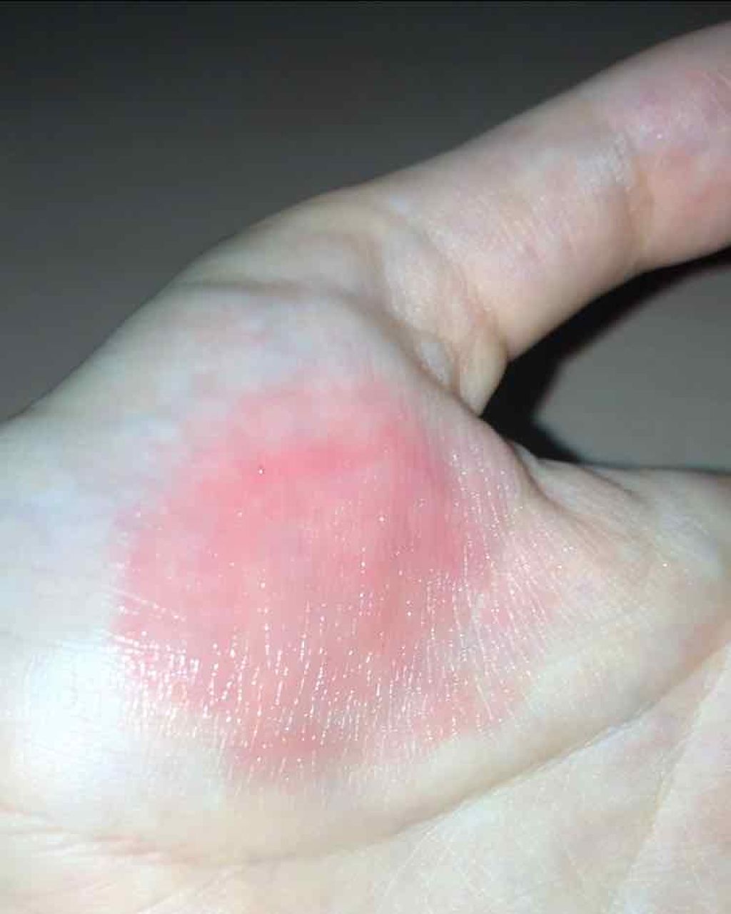 ステイオンバームルージュ/キャンメイク/口紅を使ったクチコミ（3枚目）