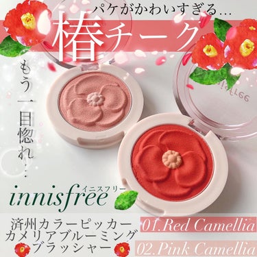 済州 カラーピッカー椿ブルーミングチーク/innisfree/パウダーチークを使ったクチコミ（1枚目）