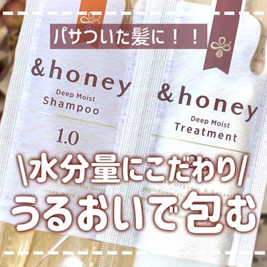 ディープモイスト シャンプー1.0／ヘアトリートメント2.0/&honey/シャンプー・コンディショナーを使ったクチコミ（1枚目）