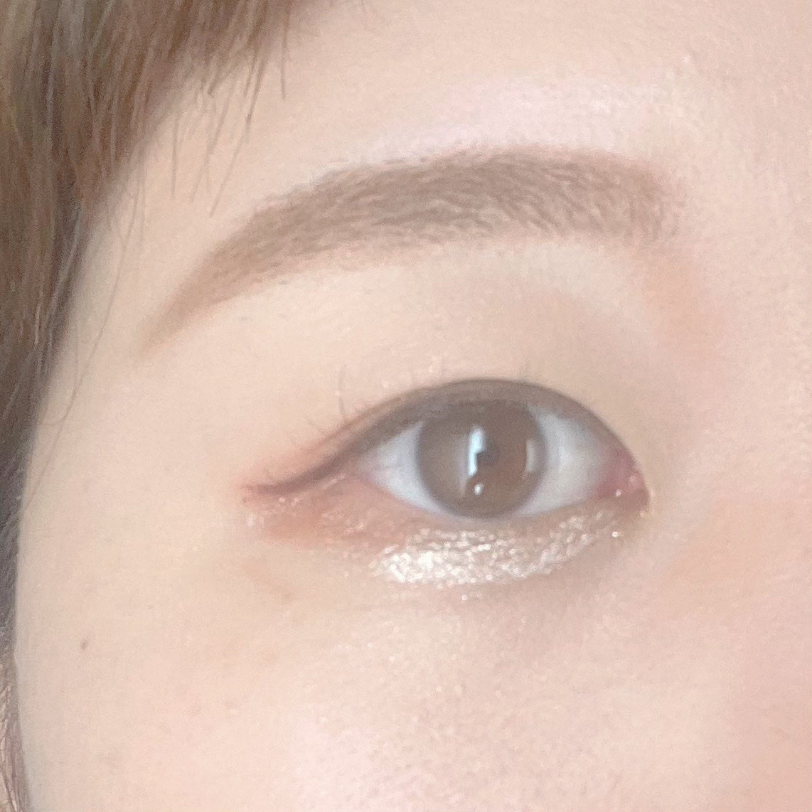 エクスプローラ12色 動物アイシャドウパレット/PERFECT DIARY/アイシャドウパレットを使ったクチコミ(8枚目)