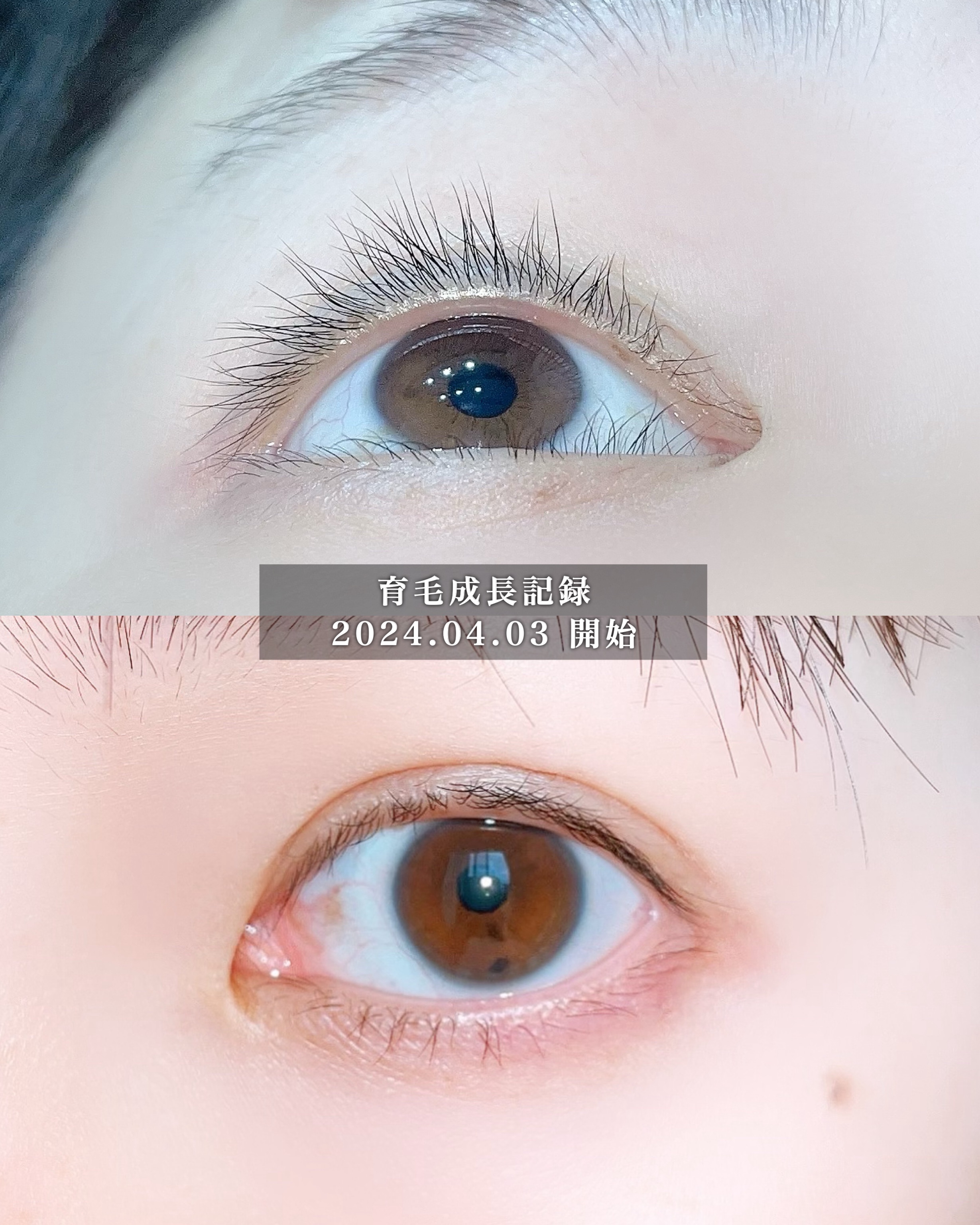 ディアベラ　アイラッシュ　コンディショナー 試してみた】アイラッシュコンディショナー リバイタラッシュの