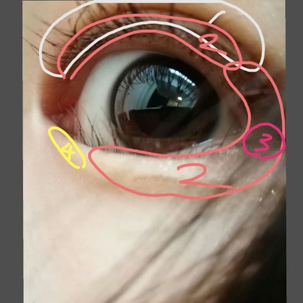 クイックラッシュカーラー/キャンメイク/マスカラ下地を使ったクチコミ(3枚目)