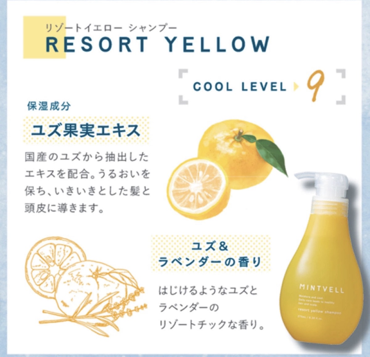 ミントベル マリンブルー シャンプー/サンコール/サロンシャンプーを使ったクチコミ（2枚目）