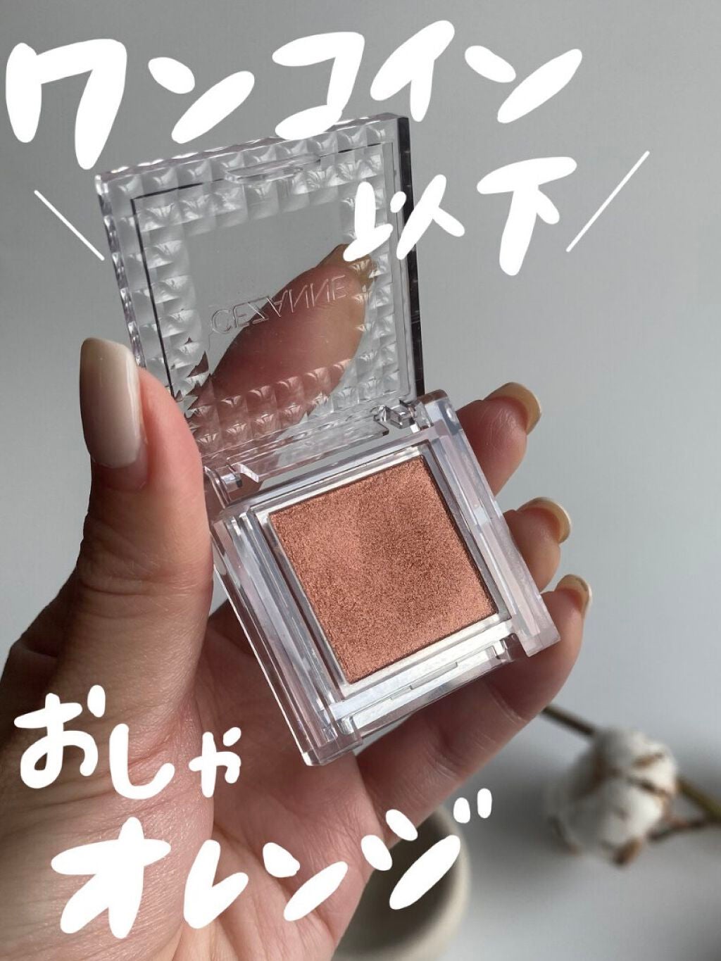 シングルカラーアイシャドウ/CEZANNE/単色アイシャドウを使ったクチコミ(1枚目)