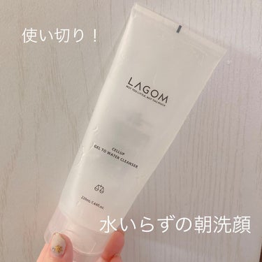 ラゴム ジェルトゥウォーター クレンザー(朝用洗顔)/LAGOM /洗顔フォームを使ったクチコミ（1枚目）