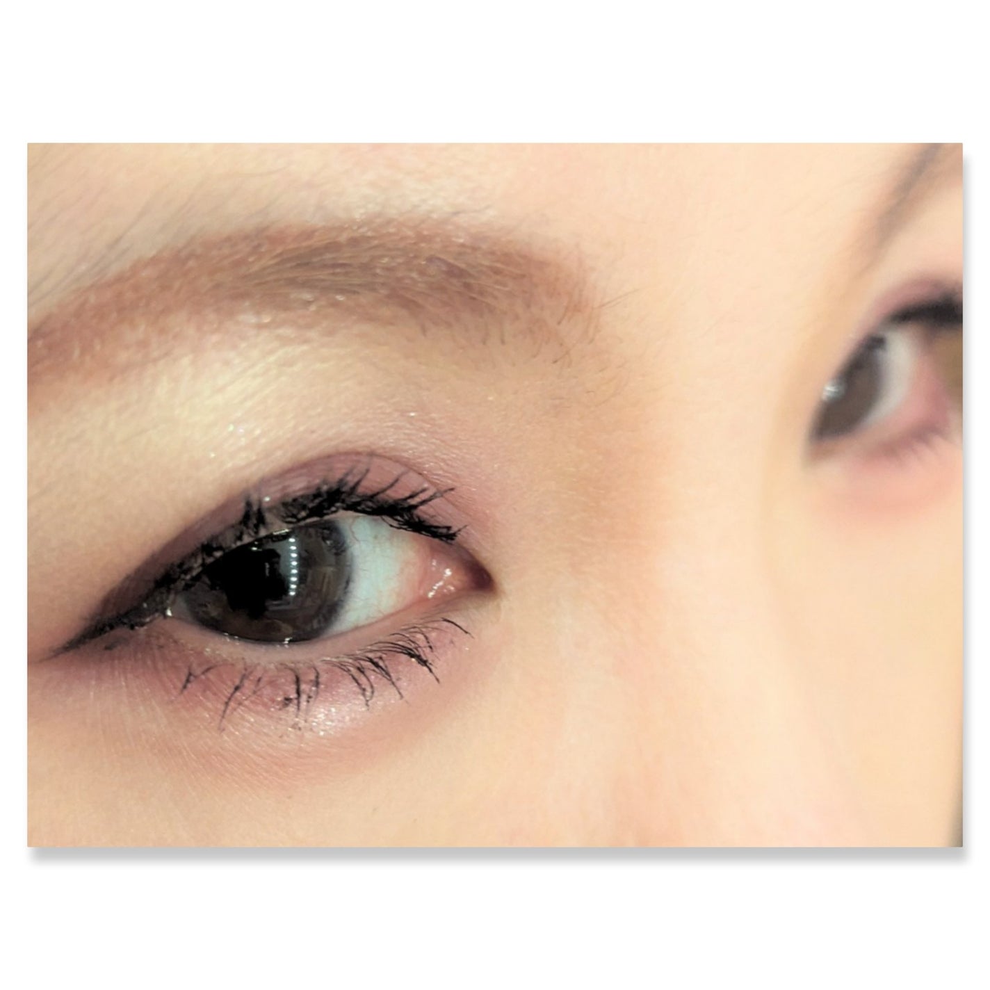 パーフェクトマルチアイズ/キャンメイク/アイシャドウパレットを使ったクチコミ(2枚目)