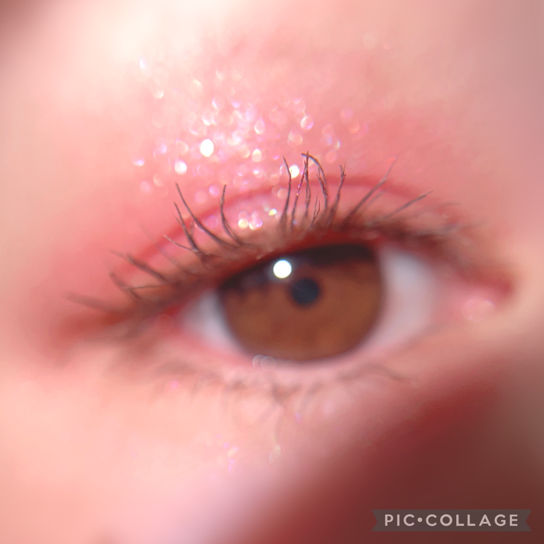 アイカラーレーション EX27 Mystic Aurora/LUNASOL/アイシャドウパレットを使ったクチコミ（3枚目）