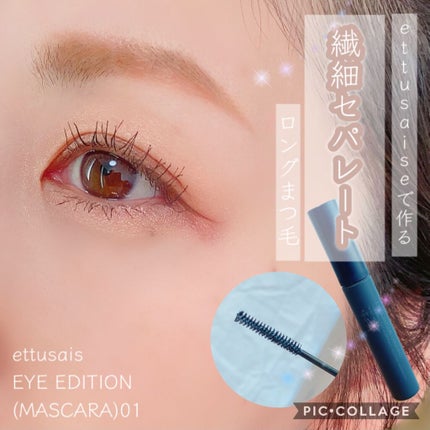 エテュセ アイエディション(マスカラ)/ettusais/マスカラを使ったクチコミ(1枚目)