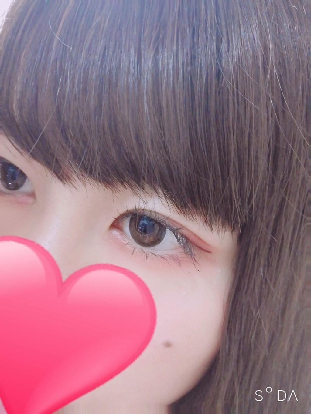 シークレットカラーアイズ/キャンメイク/アイシャドウパレットを使ったクチコミ（1枚目）