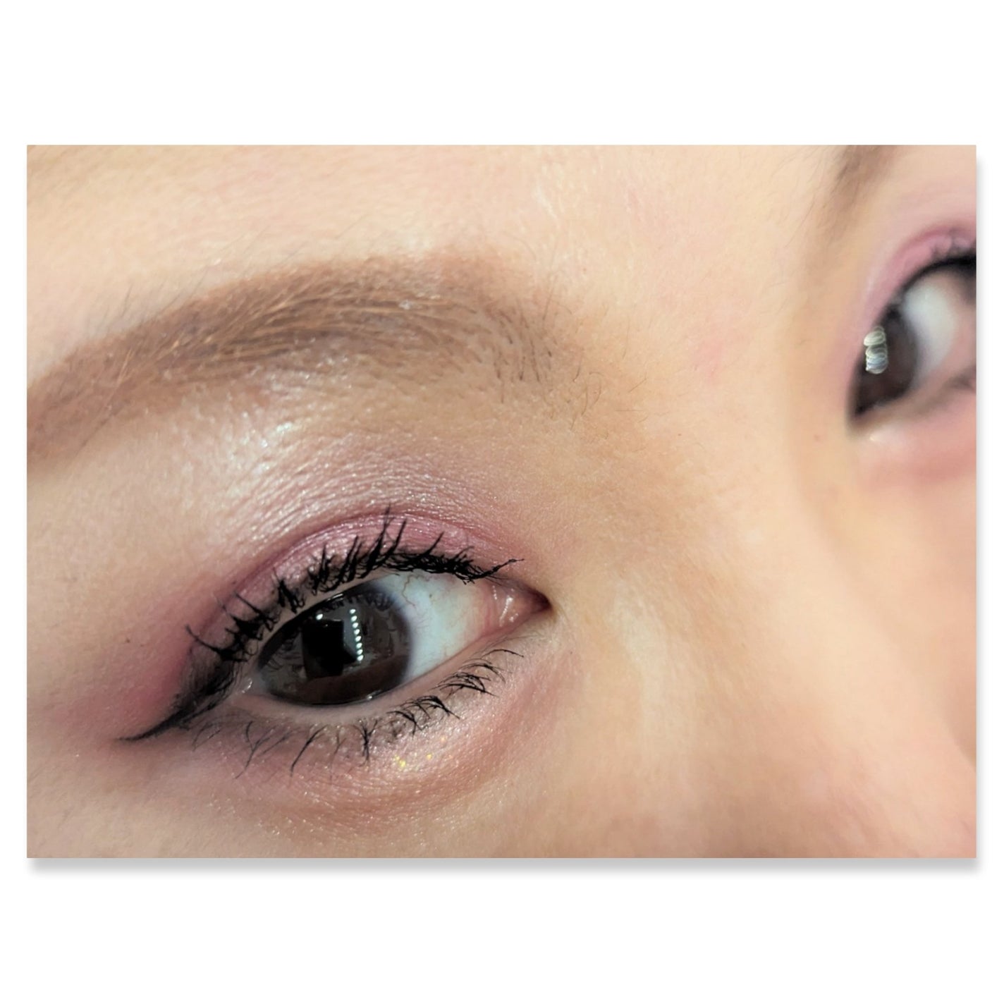 ワンダー エバー アイシャドウ/リンメル ロンドン/アイシャドウパレットを使ったクチコミ(2枚目)