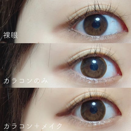 テディシリーズ/LENSSIS/カラーコンタクトレンズを使ったクチコミ(2枚目)