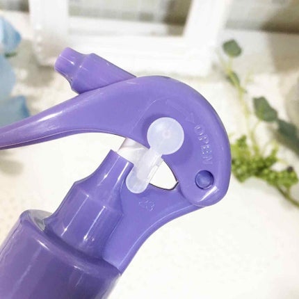 ハイドロリニュー ミスト カラープロテクト/スティーブンノル ニューヨーク/プレスタイリング・寝ぐせ直しを使ったクチコミ(2枚目)