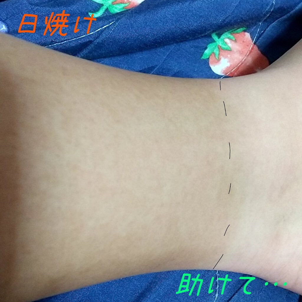 ハトムギ化粧水(ナチュリエ スキンコンディショナー R )/ナチュリエ/化粧水を使ったクチコミ（1枚目）