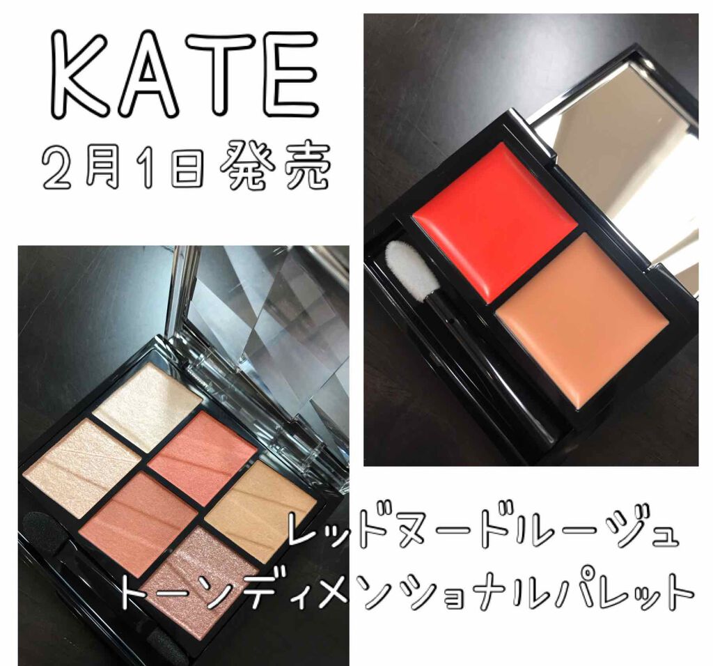 レッドヌードルージュ/KATE/口紅を使ったクチコミ(1枚目)