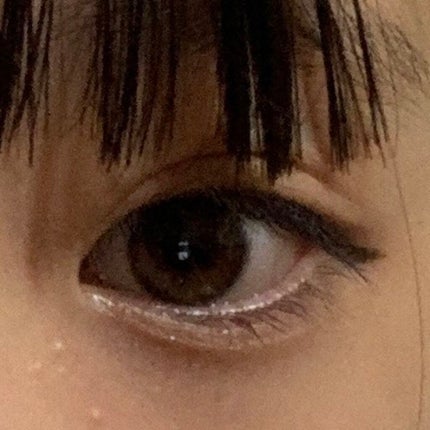 9色 アイシャドウパレット/meyme/アイシャドウパレットを使ったクチコミ(1枚目)