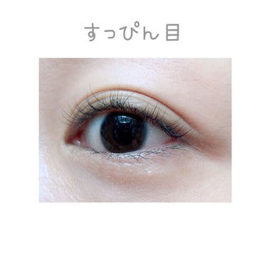 UR GLAM　BLOOMING EYE COLOR PALETTE/U R GLAM/アイシャドウパレットを使ったクチコミ（2枚目）