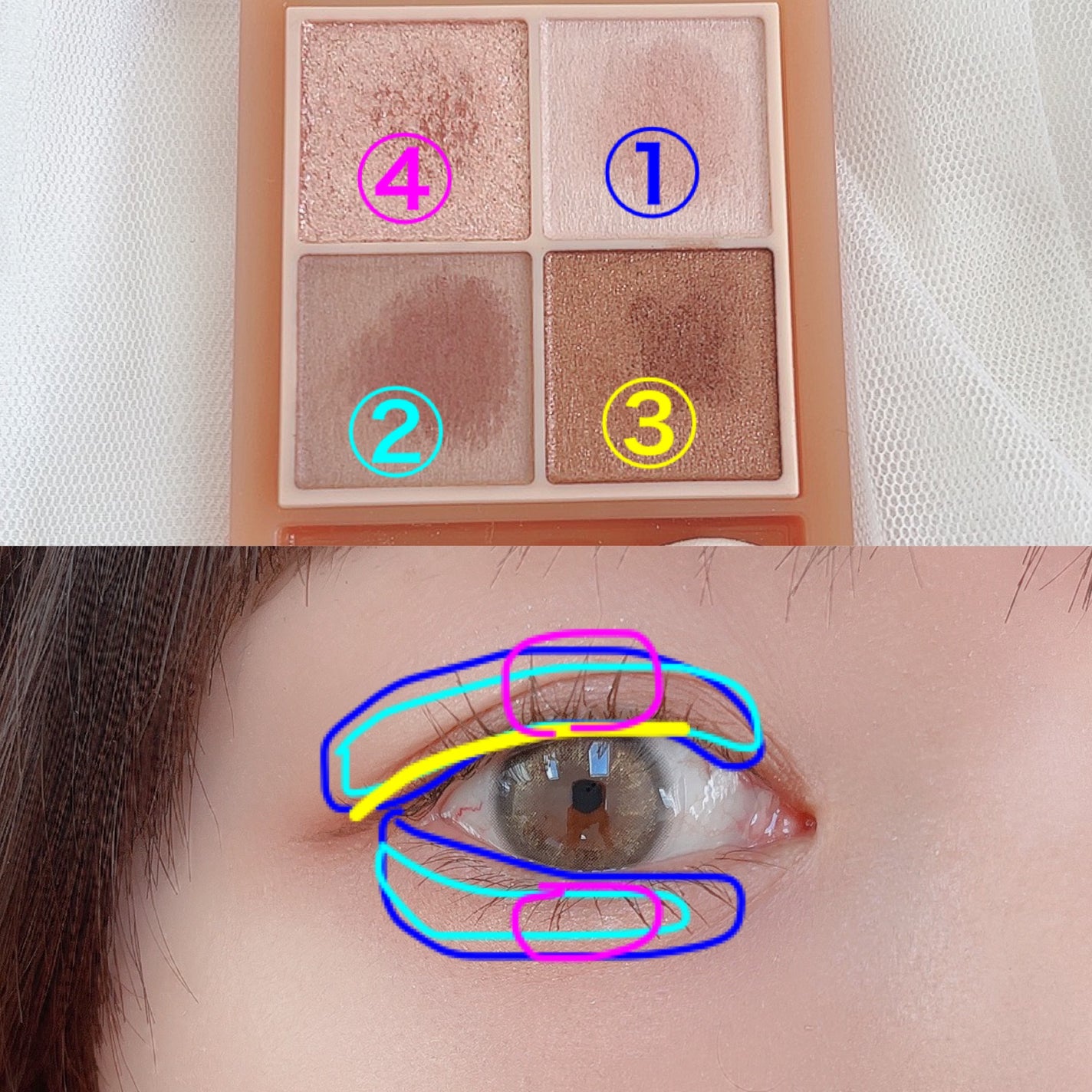 ベージュトーンアイシャドウ/CEZANNE/アイシャドウパレットを使ったクチコミ(4枚目)