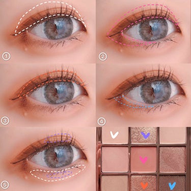 The Bella collection eyeshadow palette/CELEFIT/アイシャドウパレットを使ったクチコミ（2枚目）