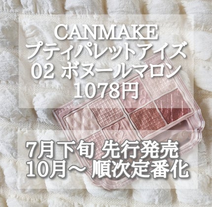 プティパレットアイズ/キャンメイク/パウダーアイシャドウを使ったクチコミ(3枚目)