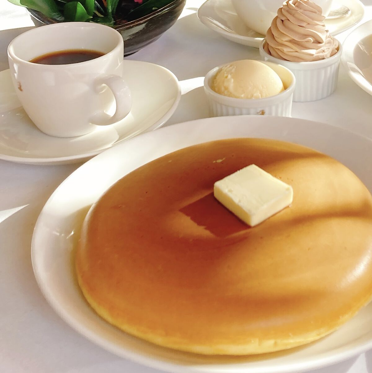 パーマネントカール マスカラ F（ロング）/FASIO/マスカラを使ったクチコミ（1枚目）