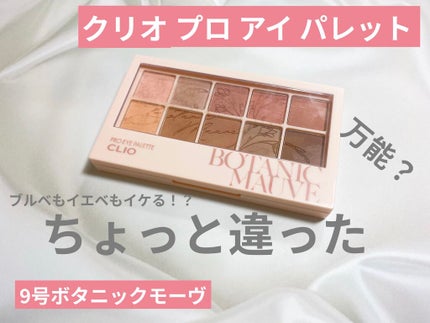 プロ アイ パレット/CLIO/アイシャドウパレットを使ったクチコミ(1枚目)