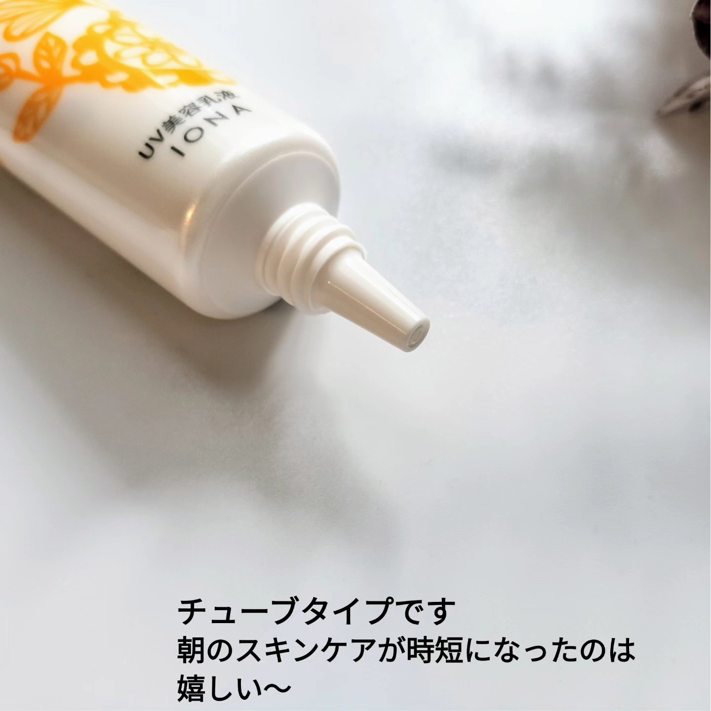 デイ プロテクター/イオナヴィー/化粧下地を使ったクチコミ（2枚目）