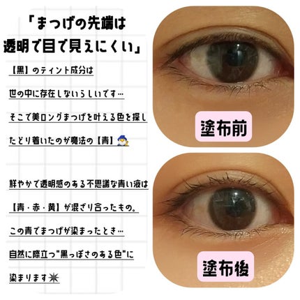 マジックティント/MAJOLICA MAJORCA/マスカラを使ったクチコミ(3枚目)