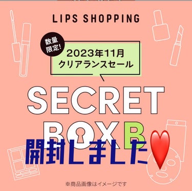 【2023年11月 クリアランスセール】シークレットボックス B/LIPS/その他キットセットを使ったクチコミ（1枚目）