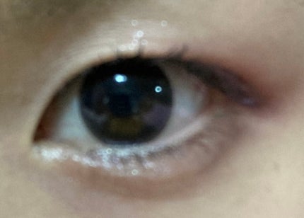 パーフェクトスタイリストアイズ/キャンメイク/アイシャドウパレットを使ったクチコミ(5枚目)