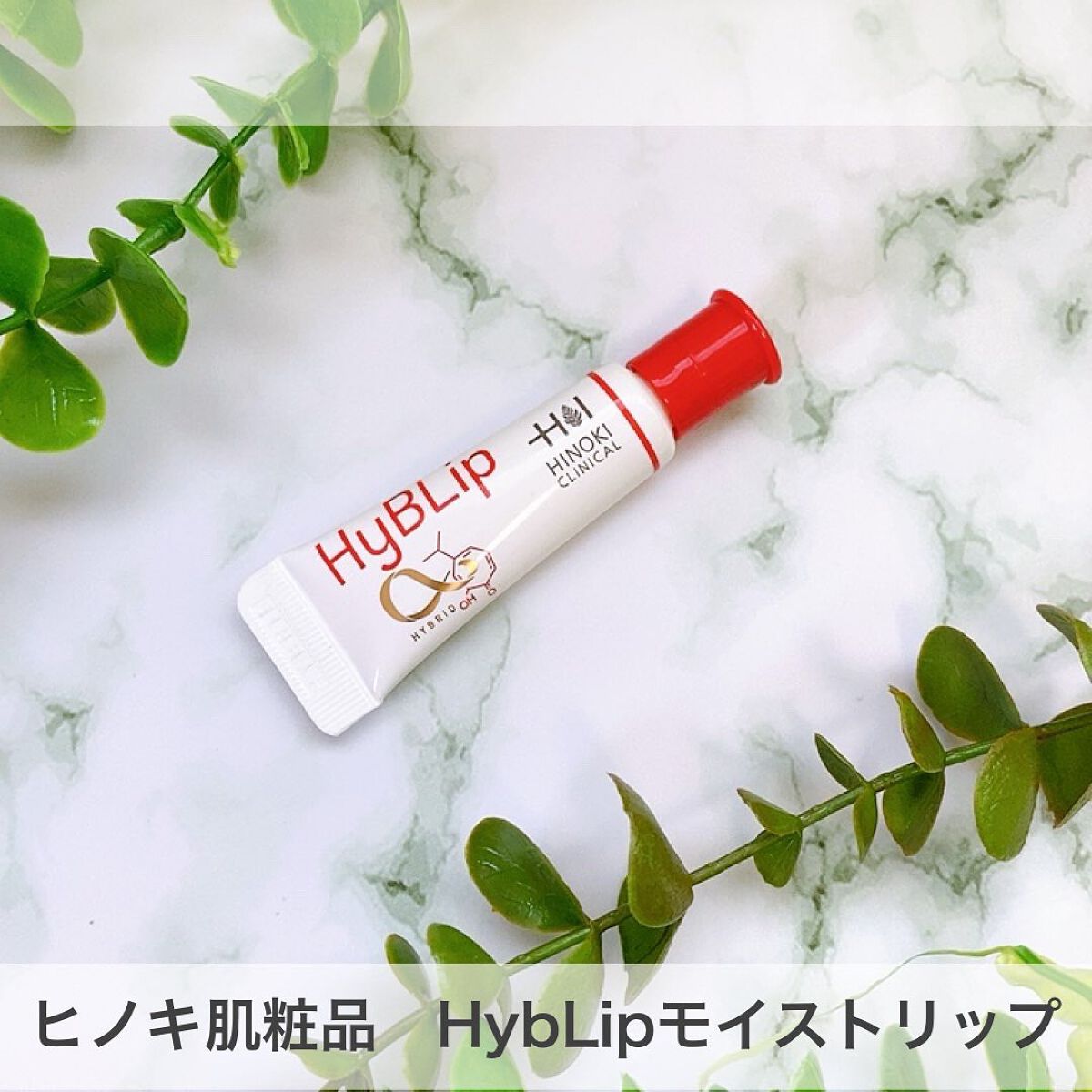 HyBLipモイストリップ/ヒノキ肌粧品/リップ美容液を使ったクチコミ(1枚目)