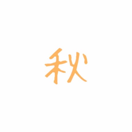 パーフェクトマルチアイズ/キャンメイク/アイシャドウパレットを使ったクチコミ(1枚目)