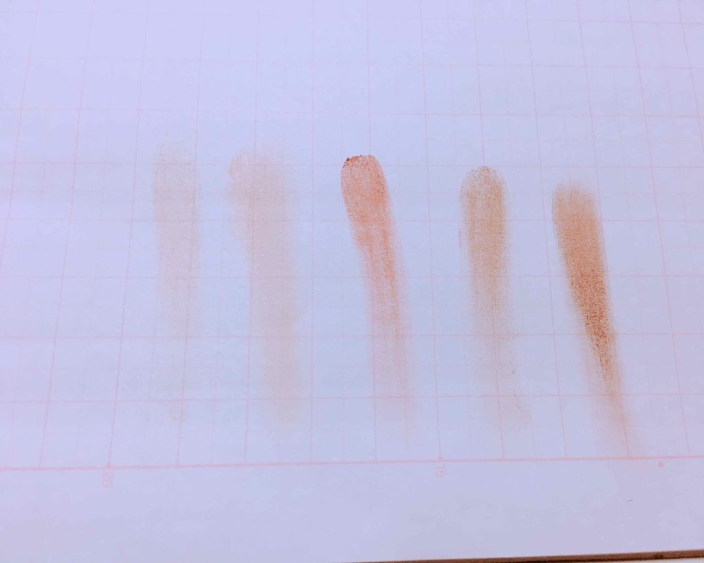 パーフェクトマルチアイズ/キャンメイク/アイシャドウパレットを使ったクチコミ（2枚目）