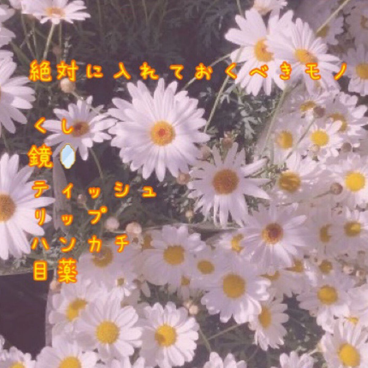 P on LIPS 「今回はポケットの中をご紹介!!現役JKによる解説です!参考にな..」(2枚目)